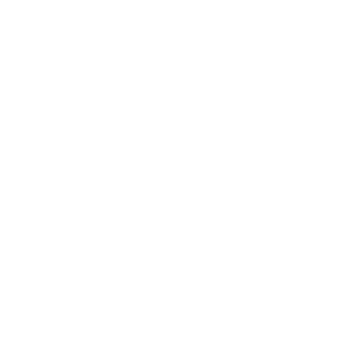 Yoast_SEO.opti
